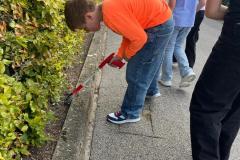 Cleanup12